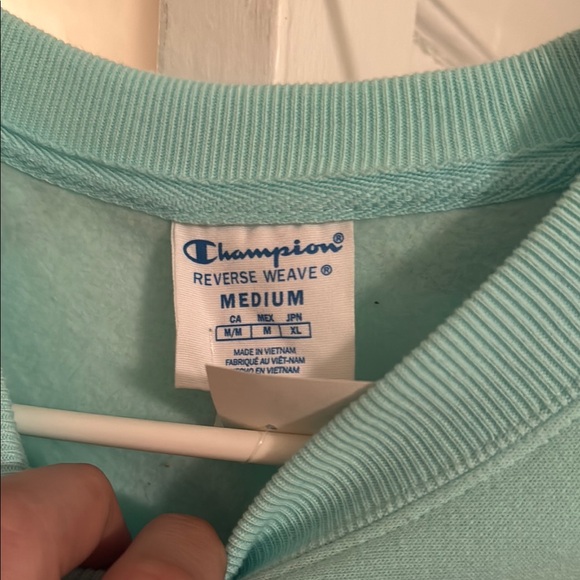 Champion Mint Green Logo Sweatshirt - Picture 3 of 4